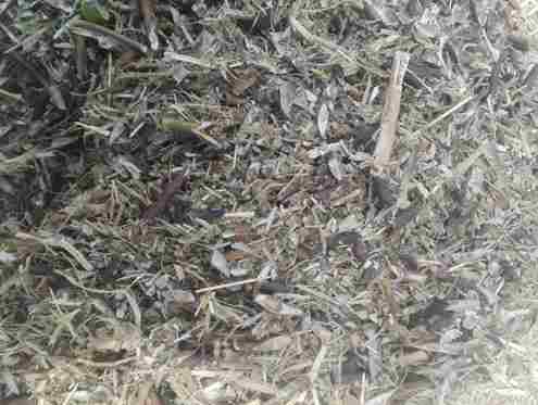 Moong-Straw_11zon.jpg