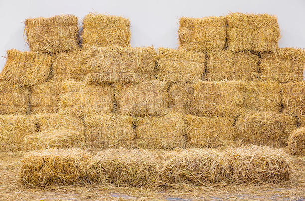 RiceStraw_1.jpg