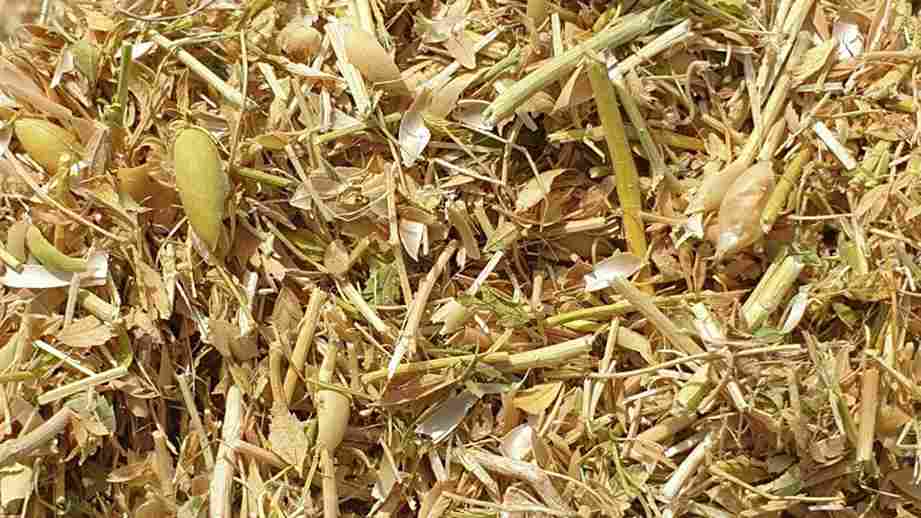 chickpeas-straw_11zon.jpg